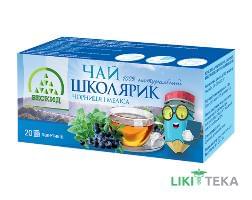 Чай трав`яний Школярик з чорницею та мелісою фільтр-пакет по 2 г №30