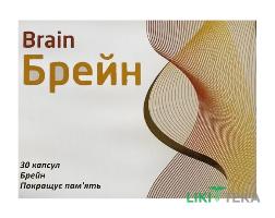 Брейн капсулы №30