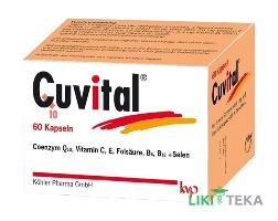Кувітал (Cuvital) капсули №60 (10х6)