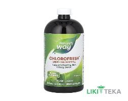 Натурес Вэй (Nature`s Way) Хлорофилл жидкий без вкуса 480 мл