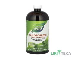 Натурес Вэй (Nature`s Way) Хлорофилл жидкий мятный вкус 480 мл