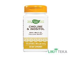 Натурес Вей (Nature`s Way) Холін і Інозитол капсули №100